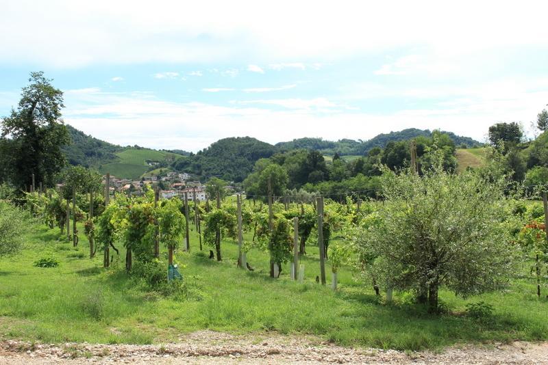 Agriturismo Mazzeracca Bassano del Grappa Esterno foto
