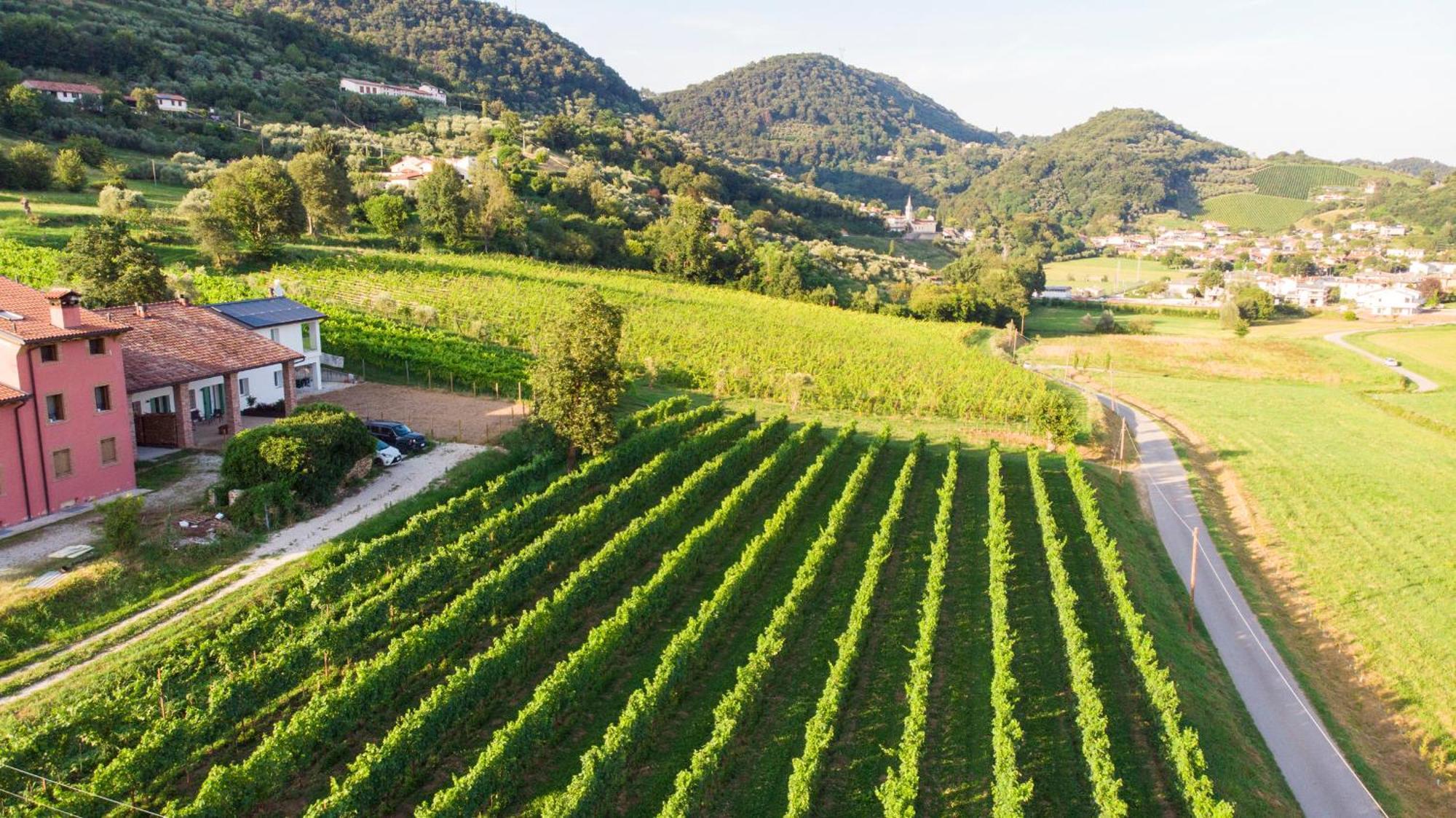 Agriturismo Mazzeracca Villa Bassano del Grappa Esterno foto